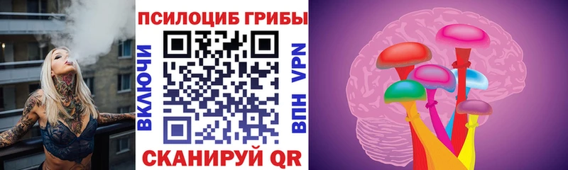 kraken онион  купить   Аткарск  Псилоцибиновые грибы мицелий 